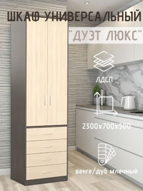 Шкаф универсальный Дуэт Люкс в Серове - serov.mebel24.online | фото 3