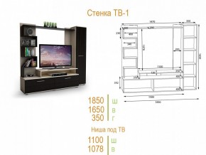 Стенка для гостиной ТВ-1 в Серове - serov.mebel24.online | фото 2