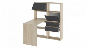 Стол компьютерный Тип 7 в Серове - serov.mebel24.online | фото 2