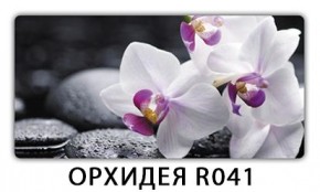 Стол раздвижной-бабочка Трилогия с фотопечатью Доска D111 в Серове - serov.mebel24.online | фото 20