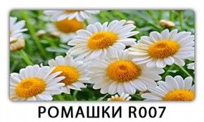 Стол раздвижной Трилогия с фотопечатью Орхидея C013 в Серове - serov.mebel24.online | фото 15