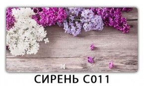 Стол раздвижной Трилогия с фотопечатью Орхидея C013 в Серове - serov.mebel24.online | фото 16