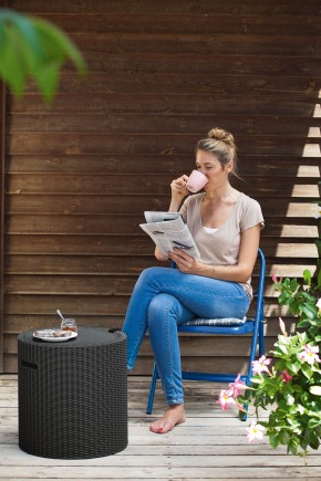 Столик-холодильник Кул-Стул (Cool stool) коричневый в Серове - serov.mebel24.online | фото 2