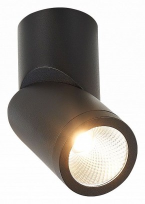 Светильник на штанге ST-Luce ST650 ST650.442.10 в Серове - serov.mebel24.online | фото 2