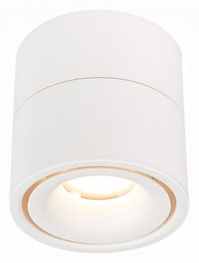 Светильник на штанге ST-Luce ST652 ST652.532.12 в Серове - serov.mebel24.online | фото 2