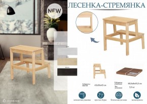Табурет Стремянка в Серове - serov.mebel24.online | фото 4