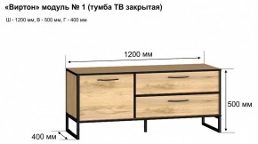 Тумба под ТВ Виртон-1 в Серове - serov.mebel24.online | фото 10