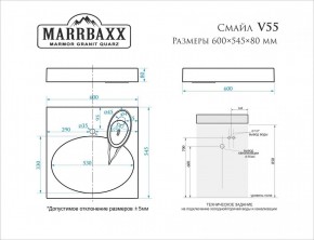 Умывальник над стиральной машиной (600*545*80) Смайл V55D1 (белый) с кронштейном без сифона (V55D1) в Серове - serov.mebel24.online | фото 2