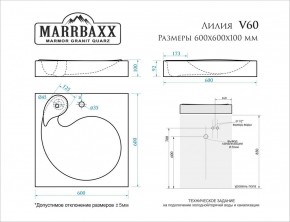 Умывальник над стиральной машиной (600*600х100) Лилия V60 (белый) с кронштейном без сифона (V60) в Серове - serov.mebel24.online | фото 2