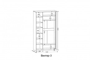 ВИНТЕР 3 Шкаф 3-х створчатый в Серове - serov.mebel24.online | фото 2